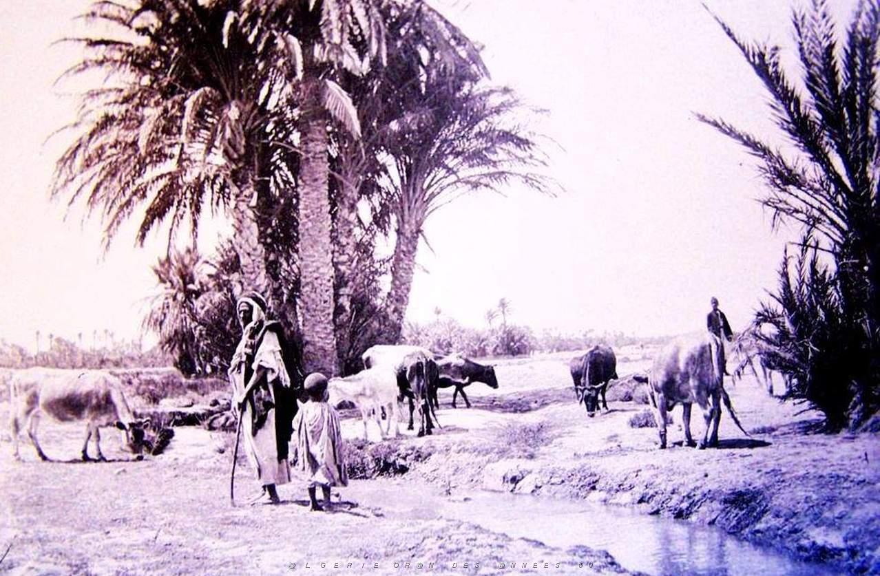 Images d'Algerie 030.jpg